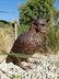 Bronze Owl sculpture - 10