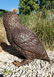 Bronze Owl sculpture - 3