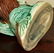 19th Century Victorian Majolica Owl Jug - 11