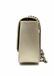 Charles and Keith Champagne Cross Body Front Flap - 6
