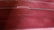 Louis Vuitton Rossmore MM Amarante Fauviste Clutch - 8