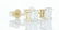 14 kt. Yellow gold - Earrings - 0.85 ct Diamond - - 6