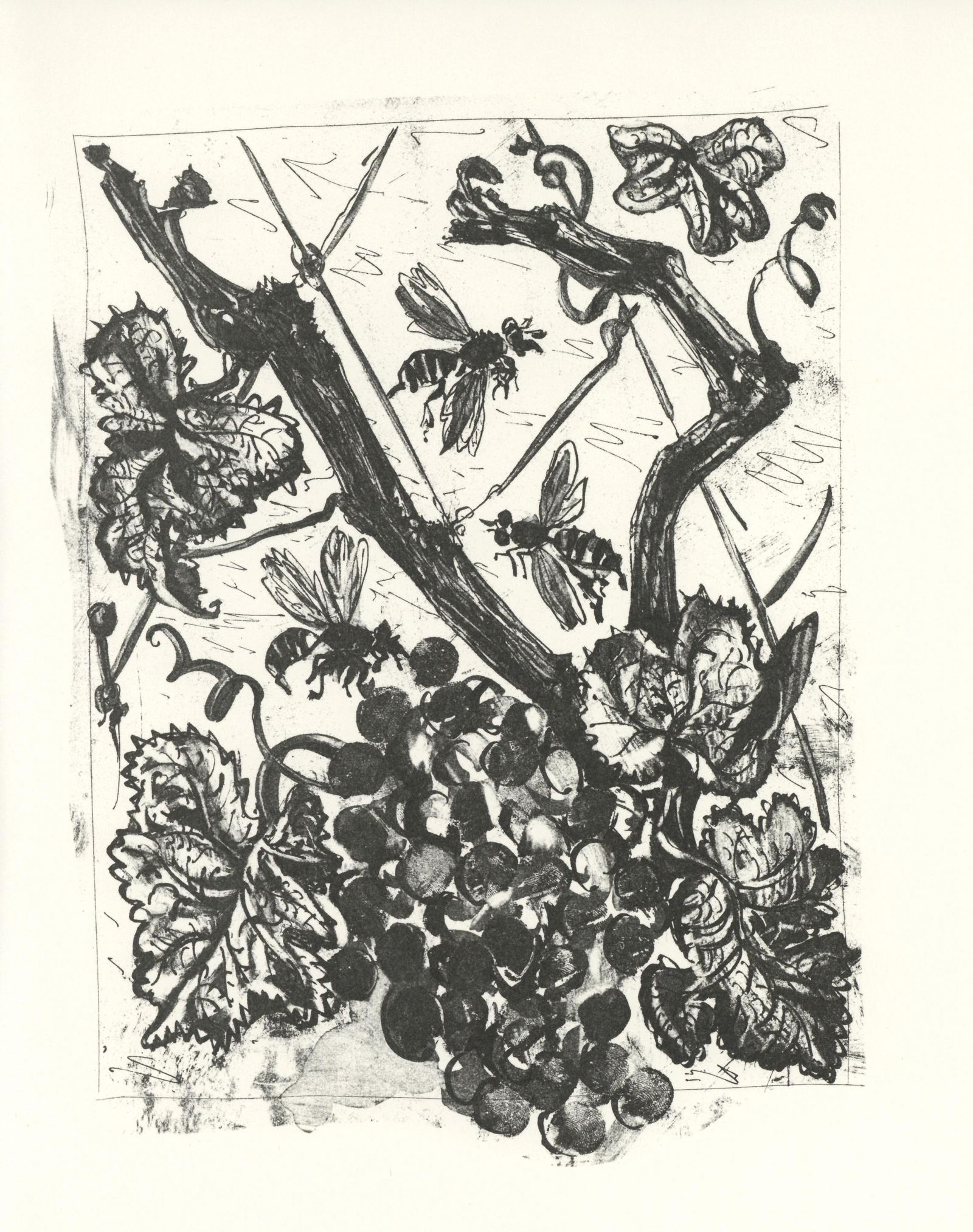 Pablo Picasso "La Guepe" The Wasp | Buffon (1 of 1)