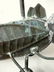 Graphic Grasshopper Vane - 12
