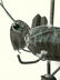 Graphic Grasshopper Vane - 2