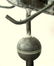 Graphic Grasshopper Vane - 5