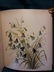 FLOWERS OF THE FIELD AND FOREST-1892-10 color chromos - 8