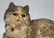 Lying Down Tabby Cat Cast Iron Hubley Doorstop - 7