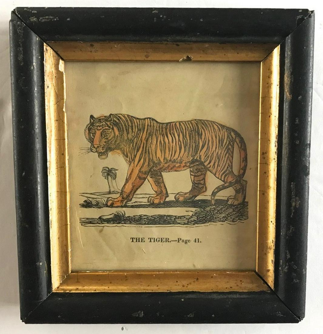 Early 19th C Hand Colored Engraving of a Tiger (1 of 1)