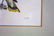 A pair of framed bird prints by Prideaux John Selby - 3