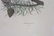 A pair of framed bird prints by Prideaux John Selby - 8