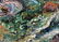 Oil painting In the bay Lebedev V. V. - 7