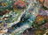 Oil painting In the bay Lebedev V. V. - 8
