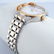 Roberto Cavalli by Franck muller - Mother Of Pearl Dial - 5