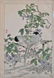 Artist: Kono BAIREI Subject: Blue birds and Wisteria