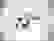 item-85402538=2