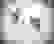 item-85402554=2