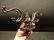 Folding Swivel Wall Hook Coat Hanger Hardware - 4