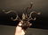 Folding Swivel Wall Hook Coat Hanger Hardware - 8