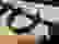 item-85404577=4