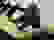 item-85404577=5
