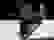 item-85404579=6