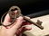 Cast Iron Large Skeleton Church Key - 10