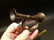 6" Miniature Military Civil War Calvary Brass Bugle - 5