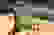 item-85404592=2
