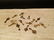 lot of Miniature Key Necklace Charm Pendants - 7