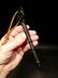 Cast Iron Skeleton Key Bottle Opener Cap Lifter - 6