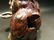 Cast Iron Bigfoot Sasquatch Mechanical Coin Bank - 9