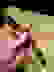 item-85404646=6