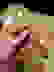 item-85404646=7