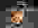 item-85404673=4
