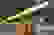 item-85404763=4