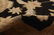 Hand-knotted Chobi Finest Black Wool Rug 9'1" x 11'10" - 4