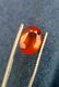 5.5 Carats Carat Natural Honey Hessonite Garnet Faceted