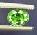 0.80 ct Natural Green Tsavorite Garnet Gemstone ,