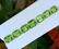 21 Carats Beautiful Green Peridot Gemstone 7 Pieces