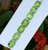21 Carats Beautiful Green Peridot Gemstone 7 Pieces - 3