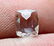 Ultra rare green color transparent herderite - 8
