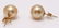 18 kt. Yellow Gold- 10x11mm Golden South Sea Pearls - - 2