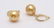 14 kt. Yellow Gold - 9x10mm Golden South Sea Pearl - 5