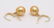 14 kt. Yellow Gold - 9x10mm Golden South Sea Pearl - 9