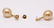 14 kt. Yellow Gold - 10x11mm Golden South Sea Pearls - - 2