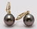 14 kt. Yellow Gold - 9x10mm Peacock Tahitian Pearl