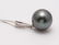 14 kt. White Goud - 12x13mm Round Tahitian pearl - - 3