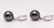 14 kt. White Gold - 9x10mm Tahitian Pearl Drops - - 2