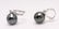 14 kt. White Gold - 9x10mm Tahitian Pearl Drops - - 8